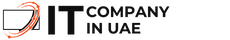 IT Company in UAE